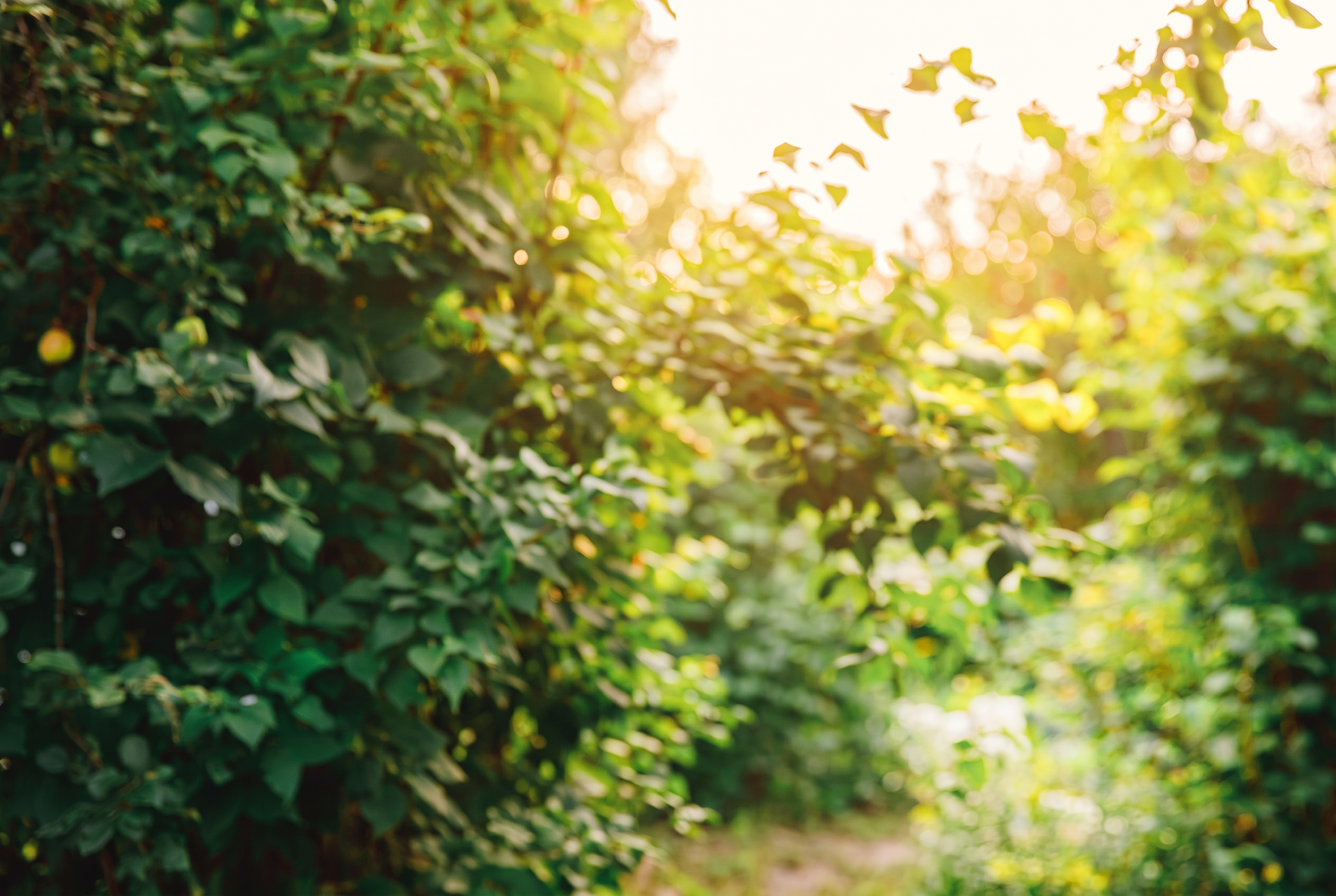 Woman smiling outdoors — Her Balance weight loss service